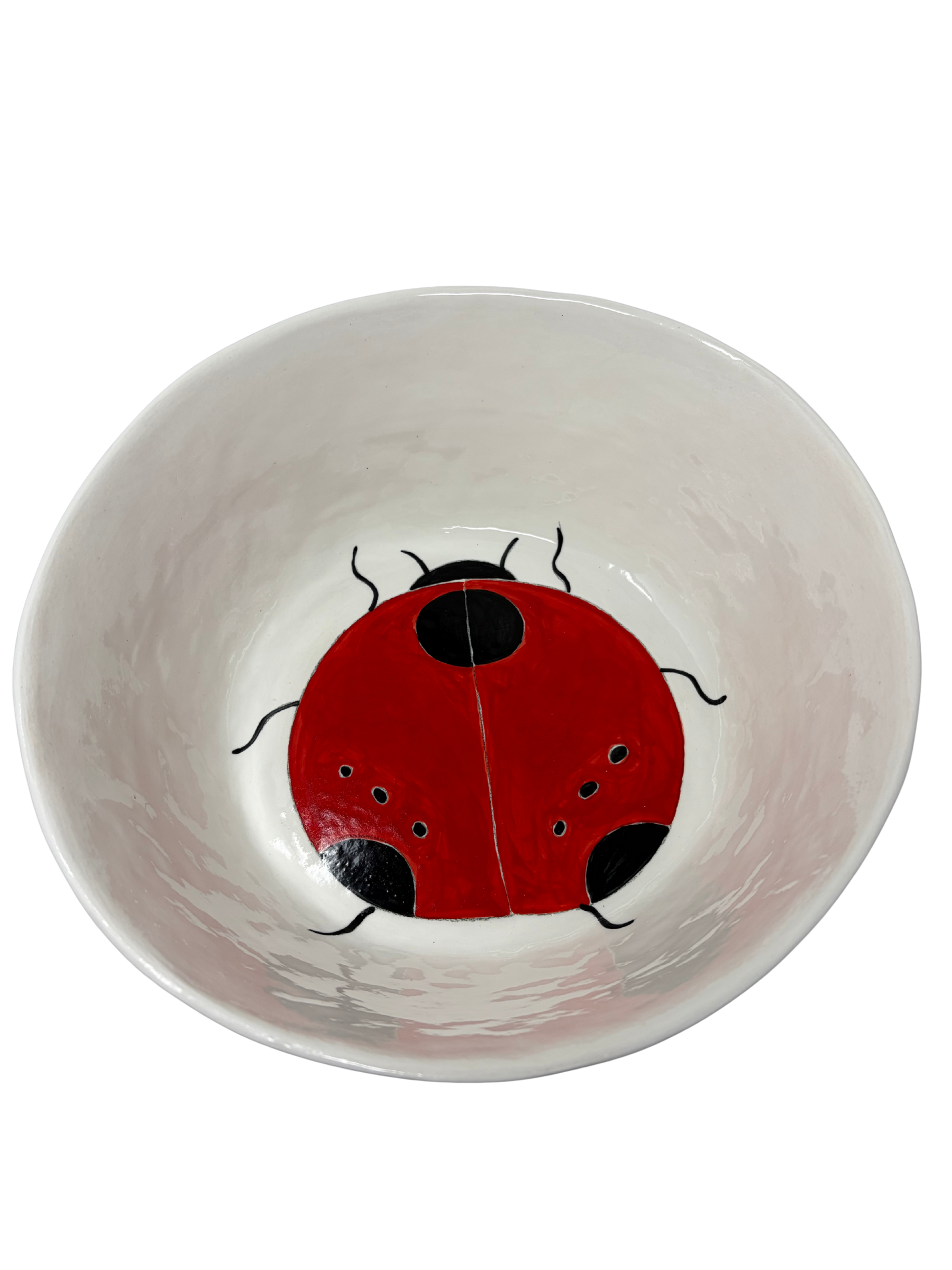 Large Bowl Ladybug 1