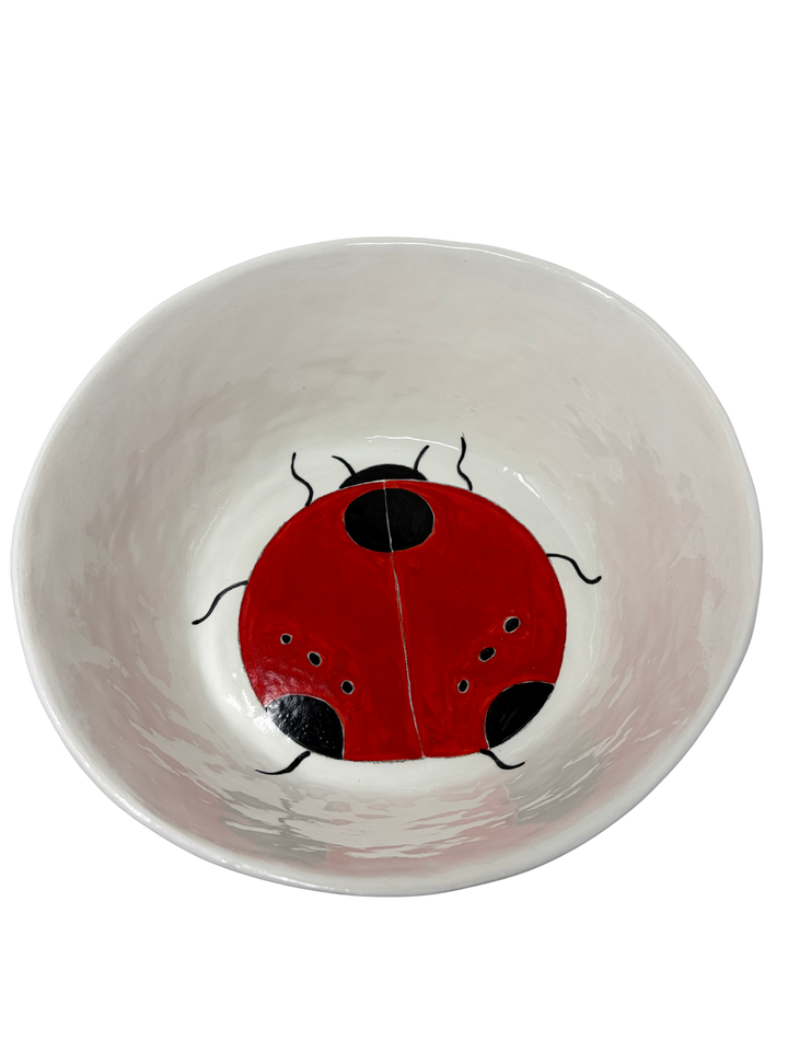 Large Bowl Ladybug 1