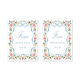 Baby Milestone Cards Cottagecore Floral
