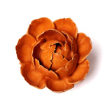 Orange Peony