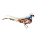Brooch Common Pheasant