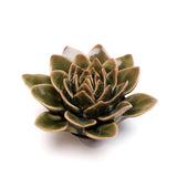 Dark Green Flower
