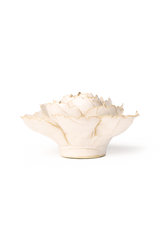 Ivory English Rose