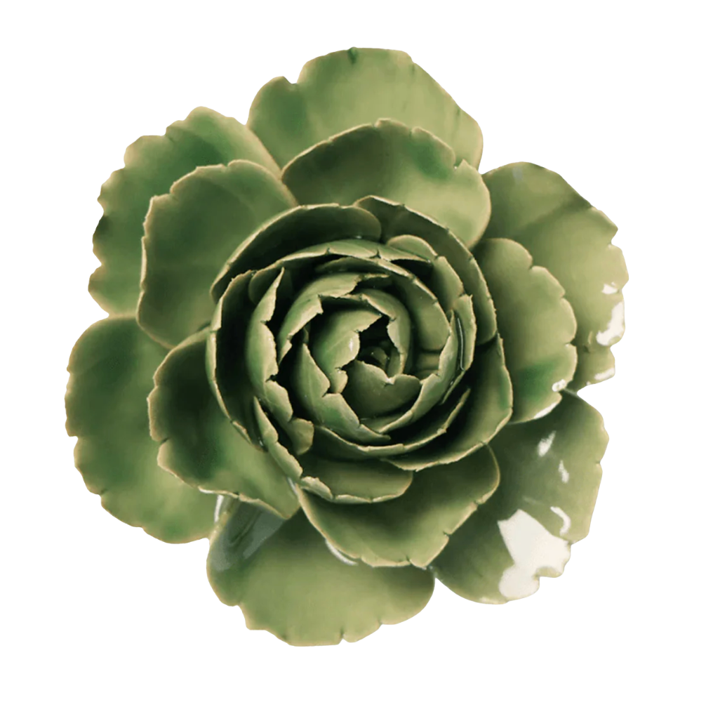 Green English Rose
