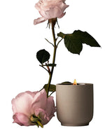 Candle Steeped Rose