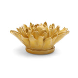 Yellow Chrysanthemum