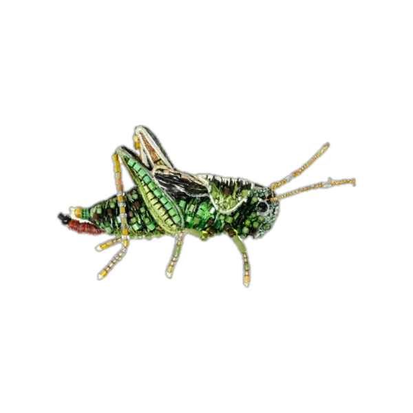 Brooch Stripped Grasshopper