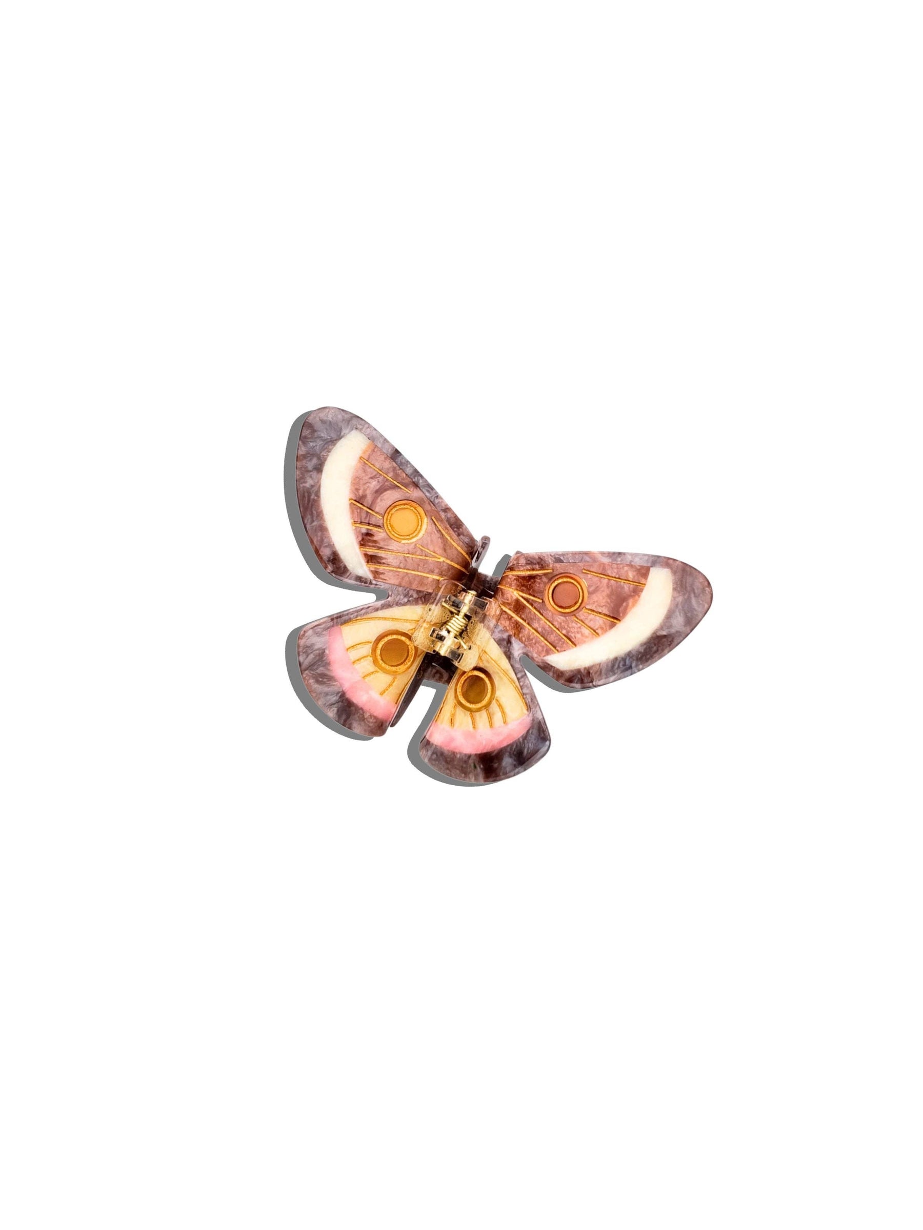 Claw Emperor Silk Moth Brown