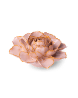 Rose Pink Camellia