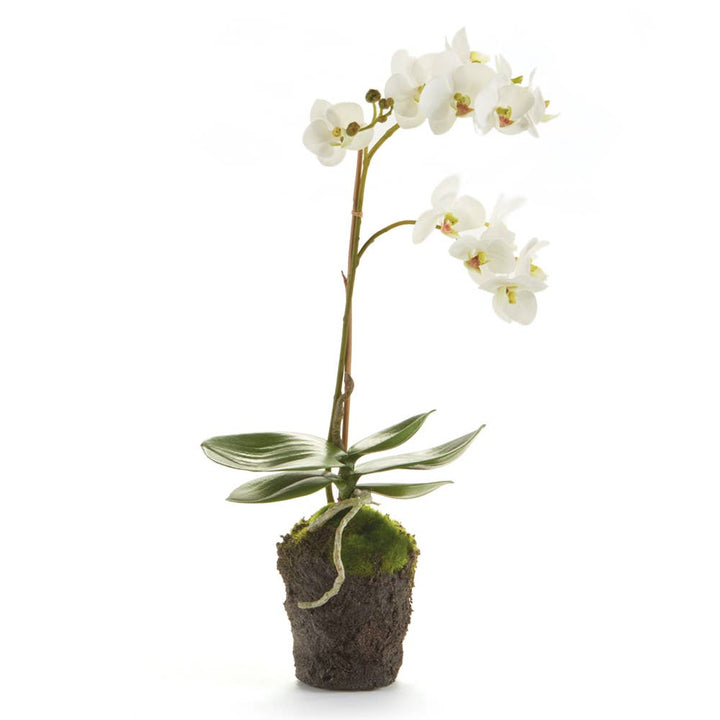 Home Orchid Drop-In 17" White