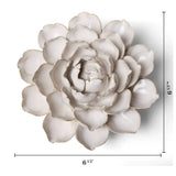 Ivory Empire Cabbage Flower