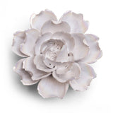 Pearl Rose