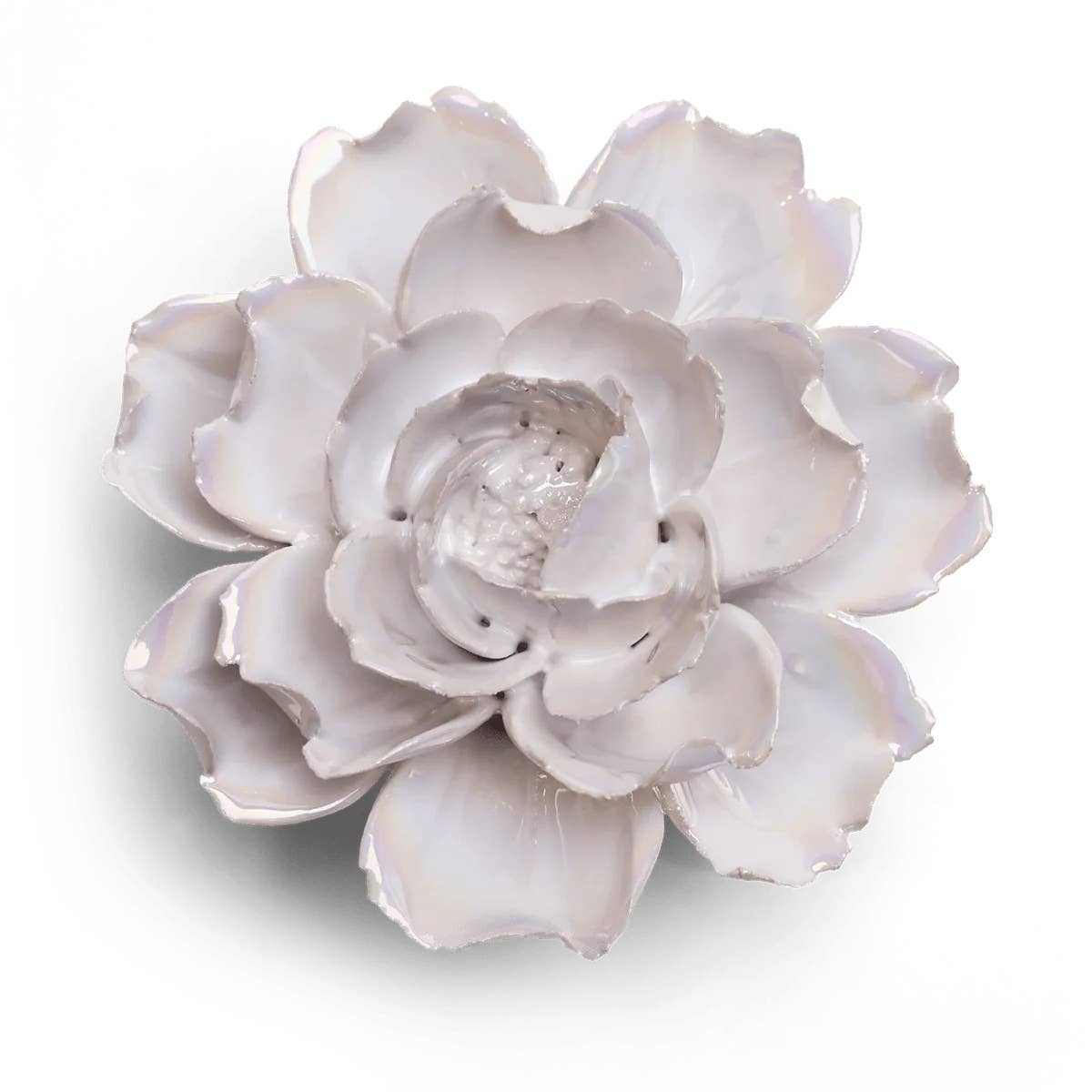 Pearl Rose