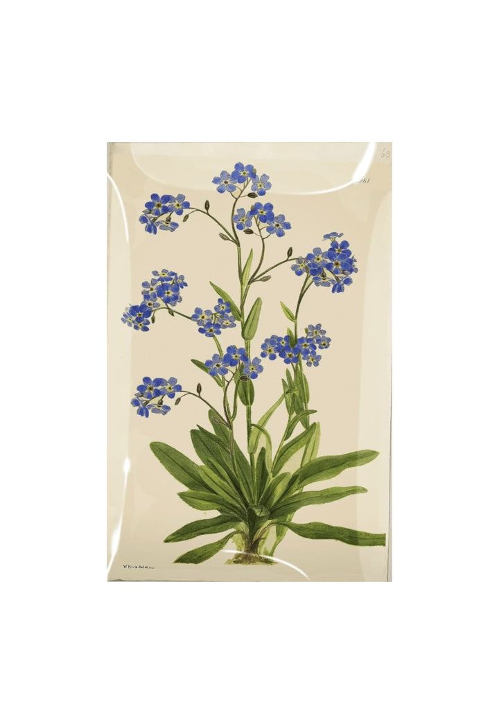 Decoupage Tray Forget Me Not Small