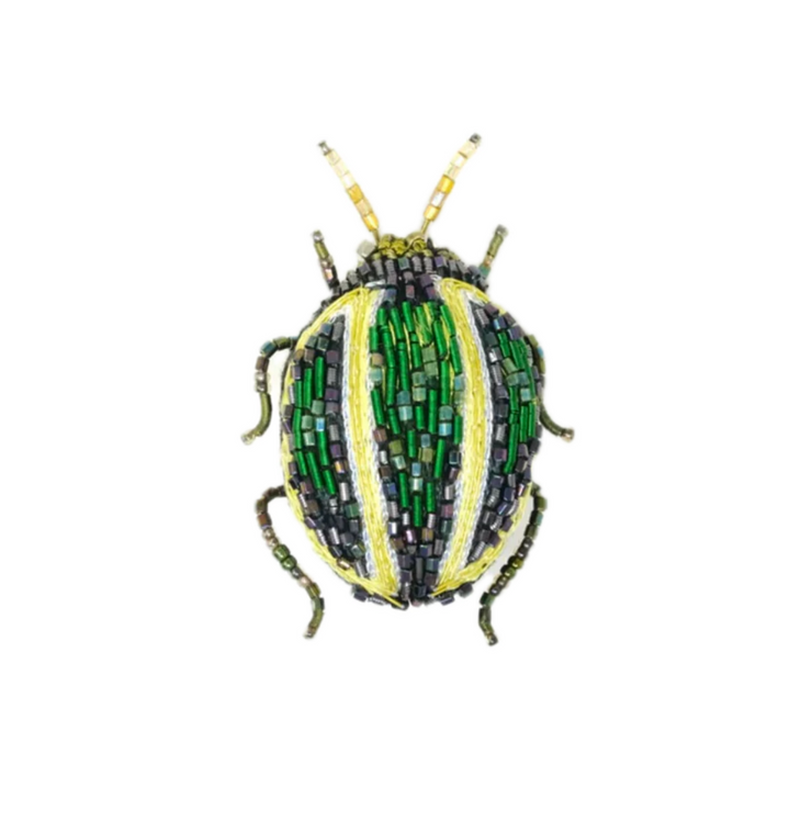 Brooch Tortoise Beetle