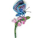 Brooch Chalk Hill Butterfly