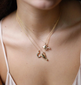 Horseshoe Necklace