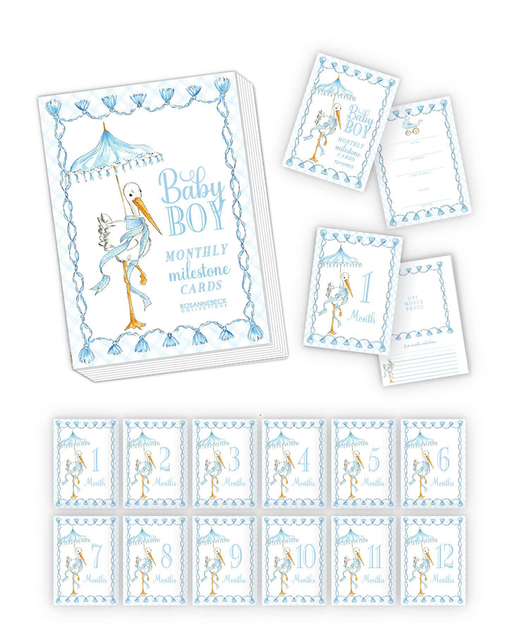 Baby Milestone Cards Stork Blue