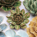 Succulent Point