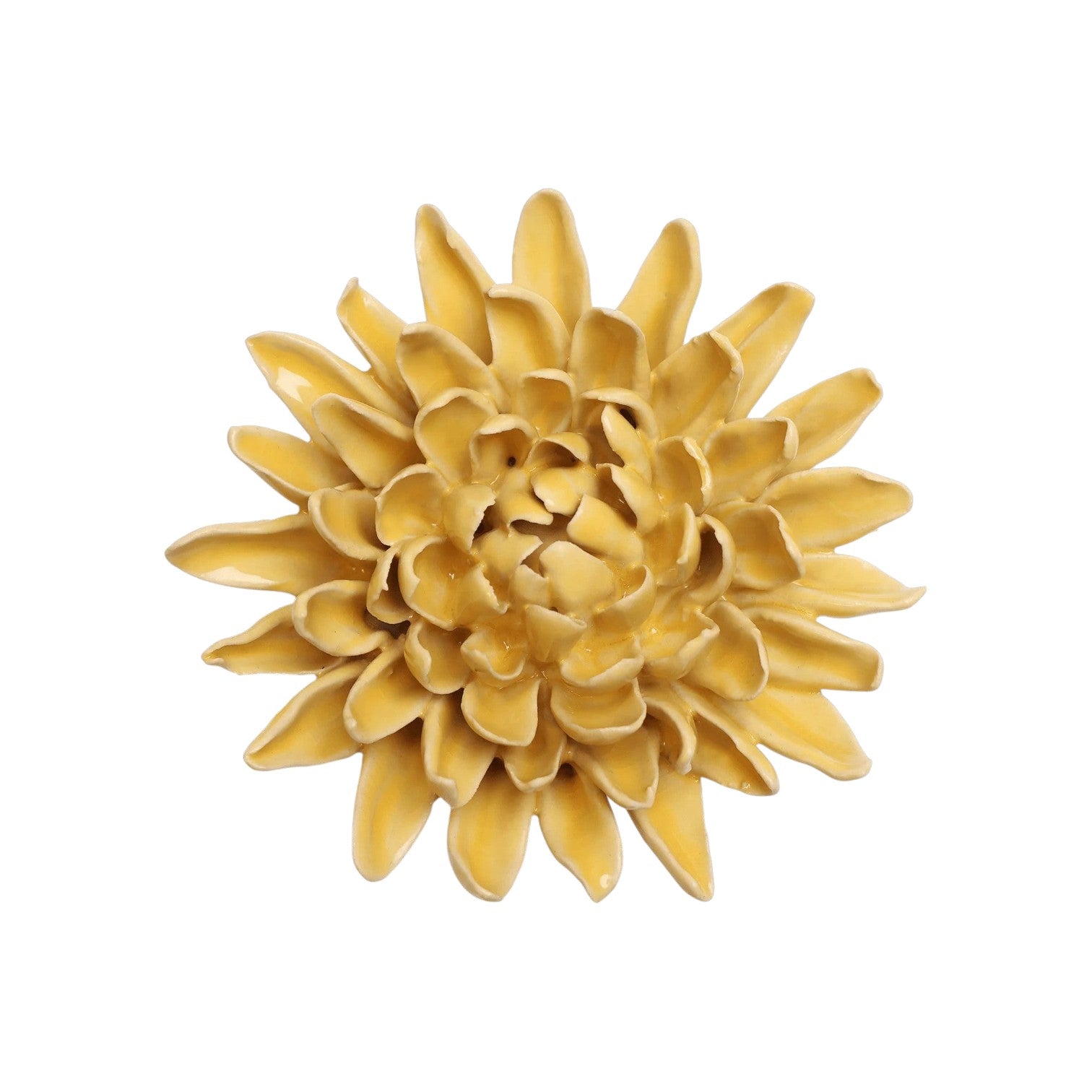 Yellow Chrysanthemum