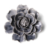 Rose Grey