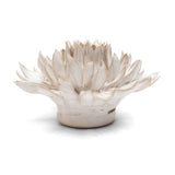 Ivory Spider Mum