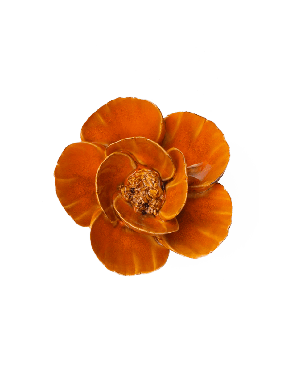 Orange Poppy