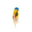 Brooch Macaw Feather