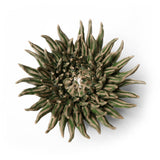Olive Mum