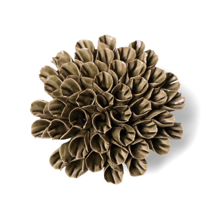 Anemone Olive