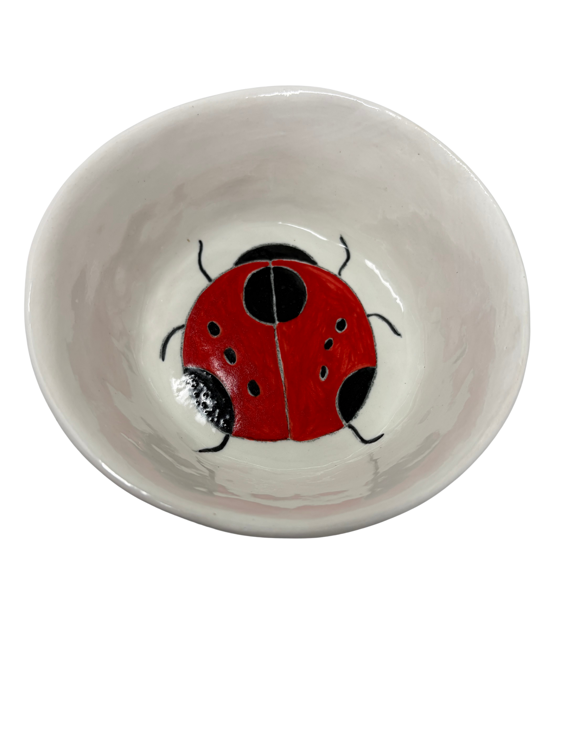Snack Bowl Ladybug 2