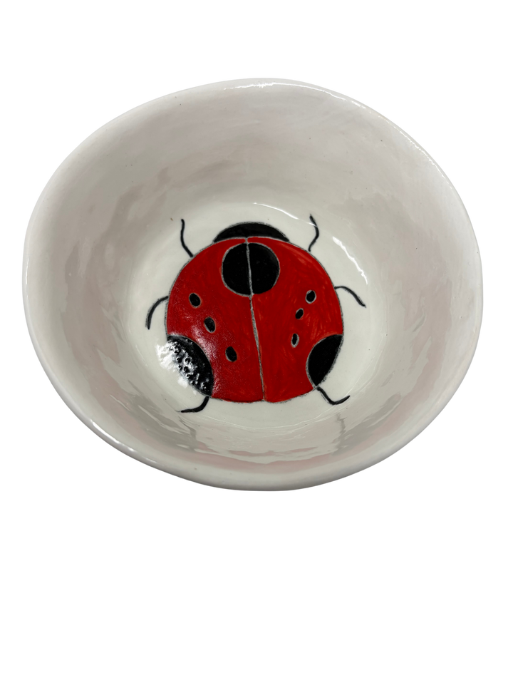 Snack Bowl Ladybug 2