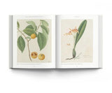 Pioneering Collector of Chinese Plants and Botanical Art