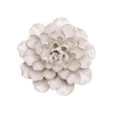 White Water Lily