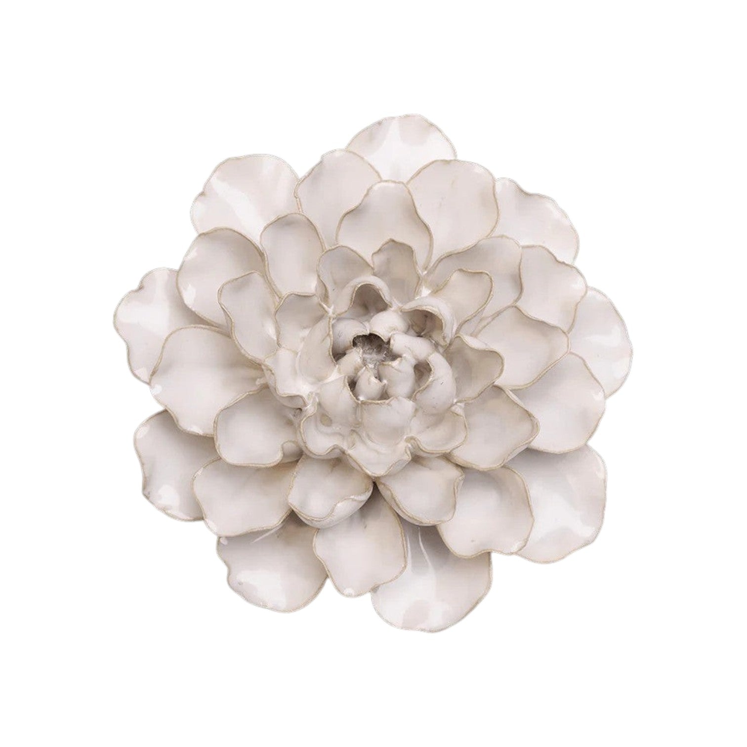 White Water Lily