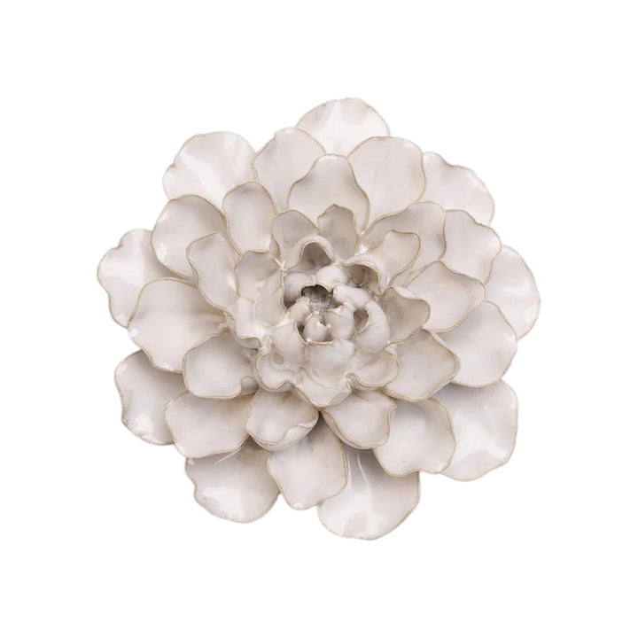White Water Lily