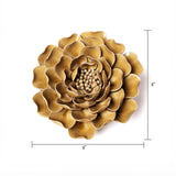 Caramel Charm Peony