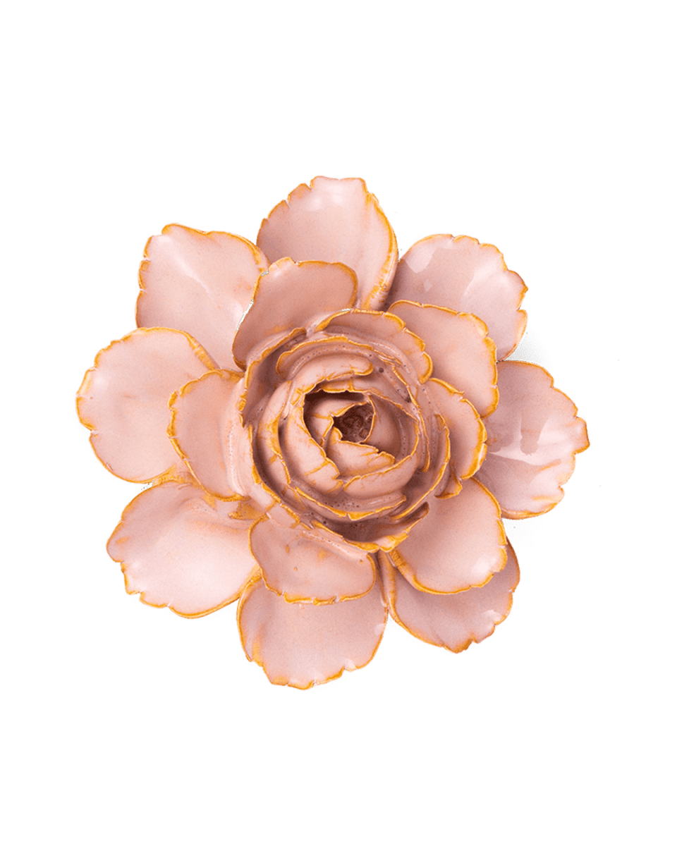 Rose Pink Camellia
