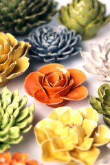 Orange Ranunculus