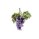 Brooch Malbec Grapes
