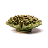 Green Large Sea Polyp