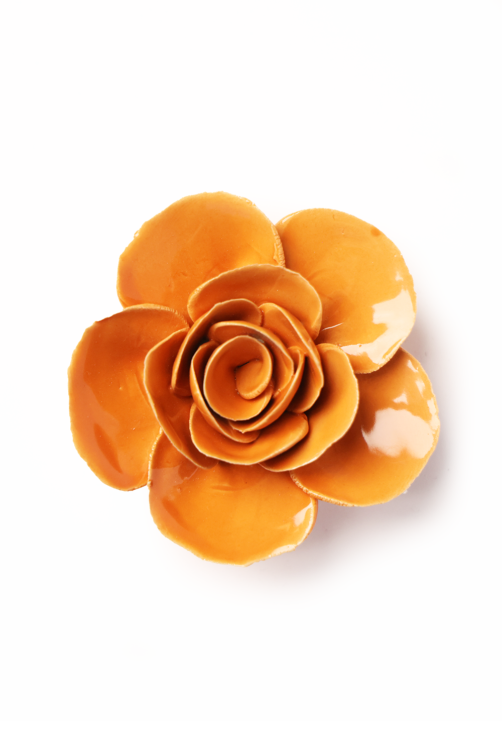 Orange Ranunculus