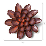 Peach Mocha Cornflower