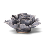 Rose Grey