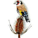 Brooch European Goldfinch