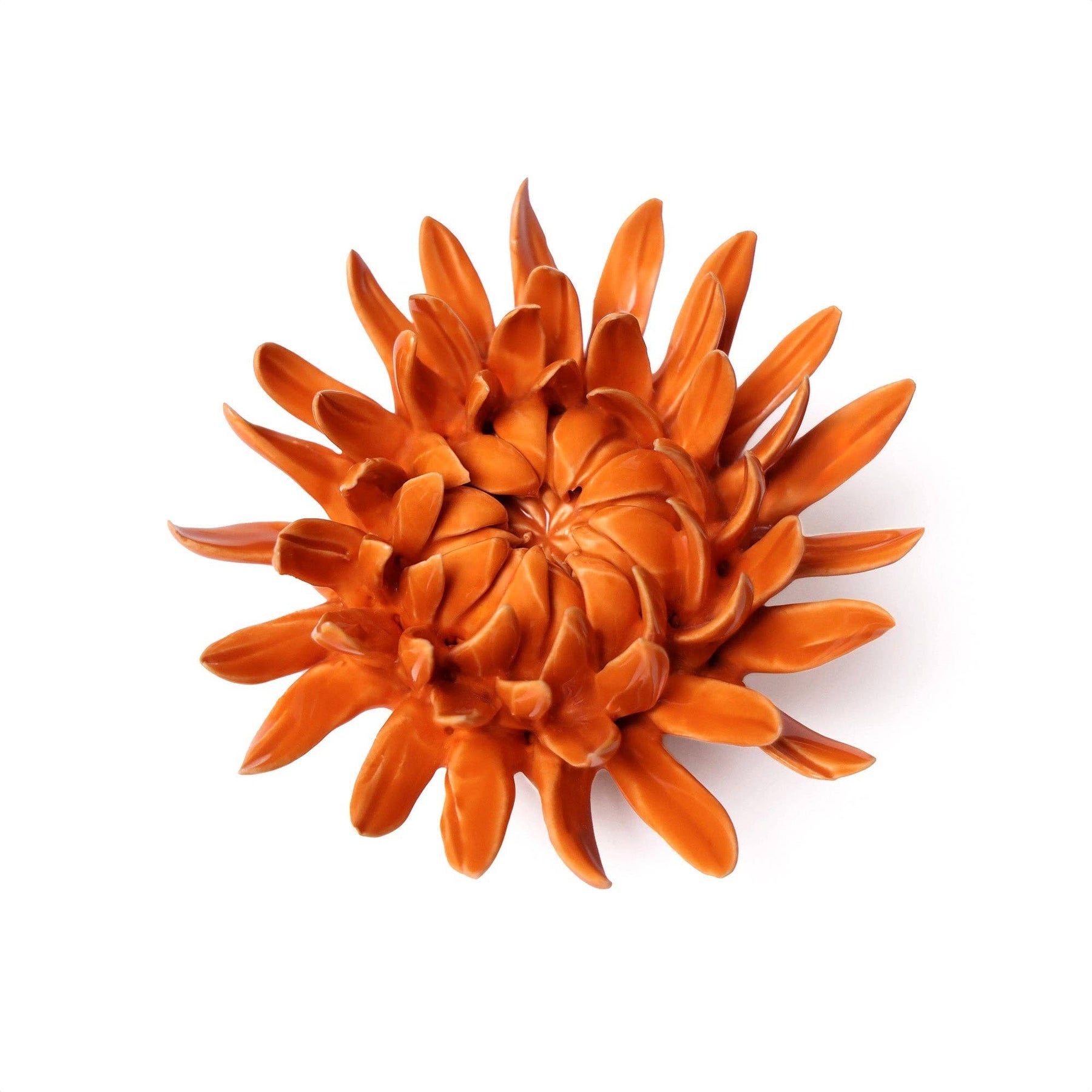 Orange Mum