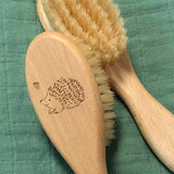 Baby Brush Hedgehog