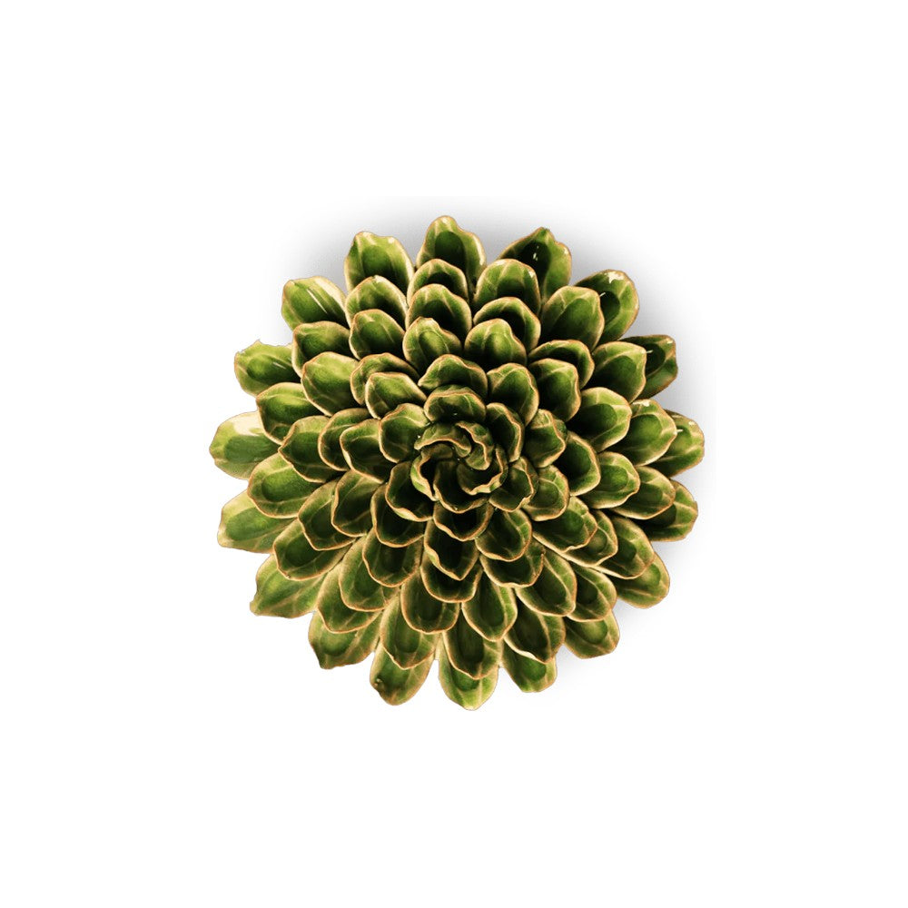 Green Unicorn Zinnia