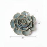 Teal Ranunculus