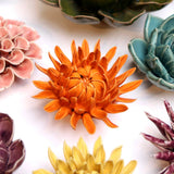 Orange Mum
